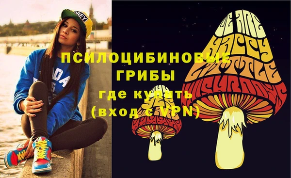 прущая мука Армянск